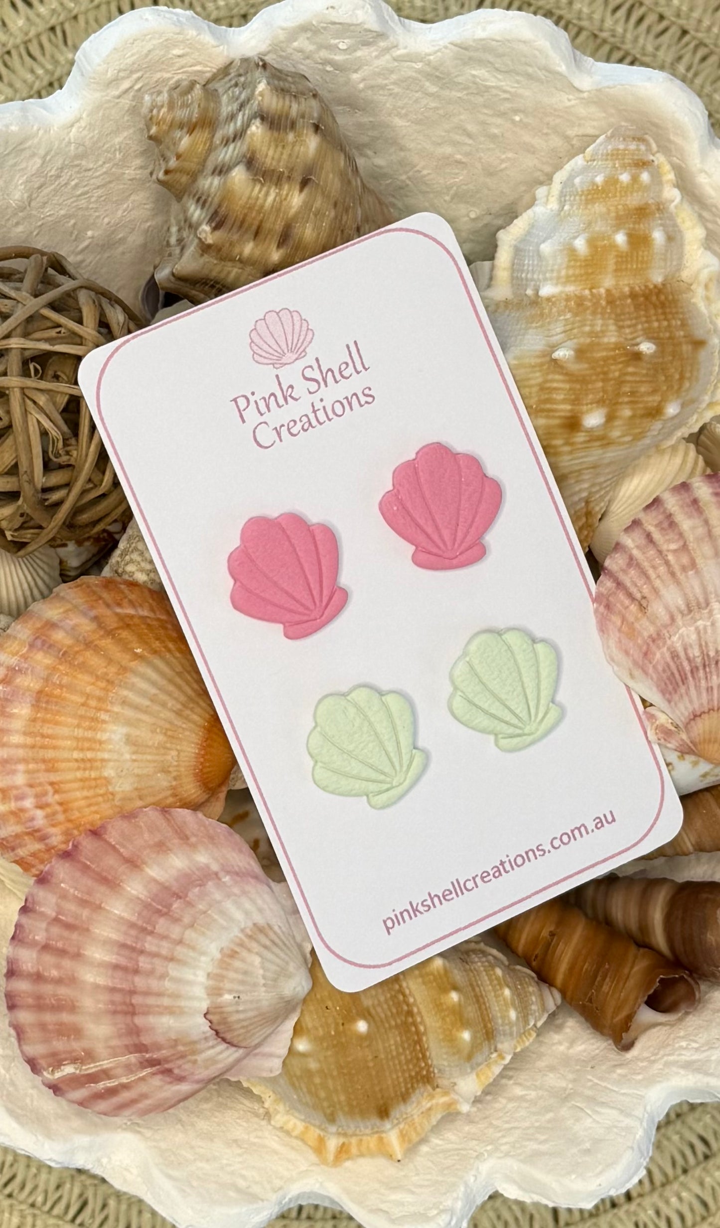 Sea Shell Stud Earrings